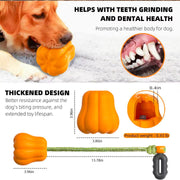 PUMPKIE FETCH TOY
