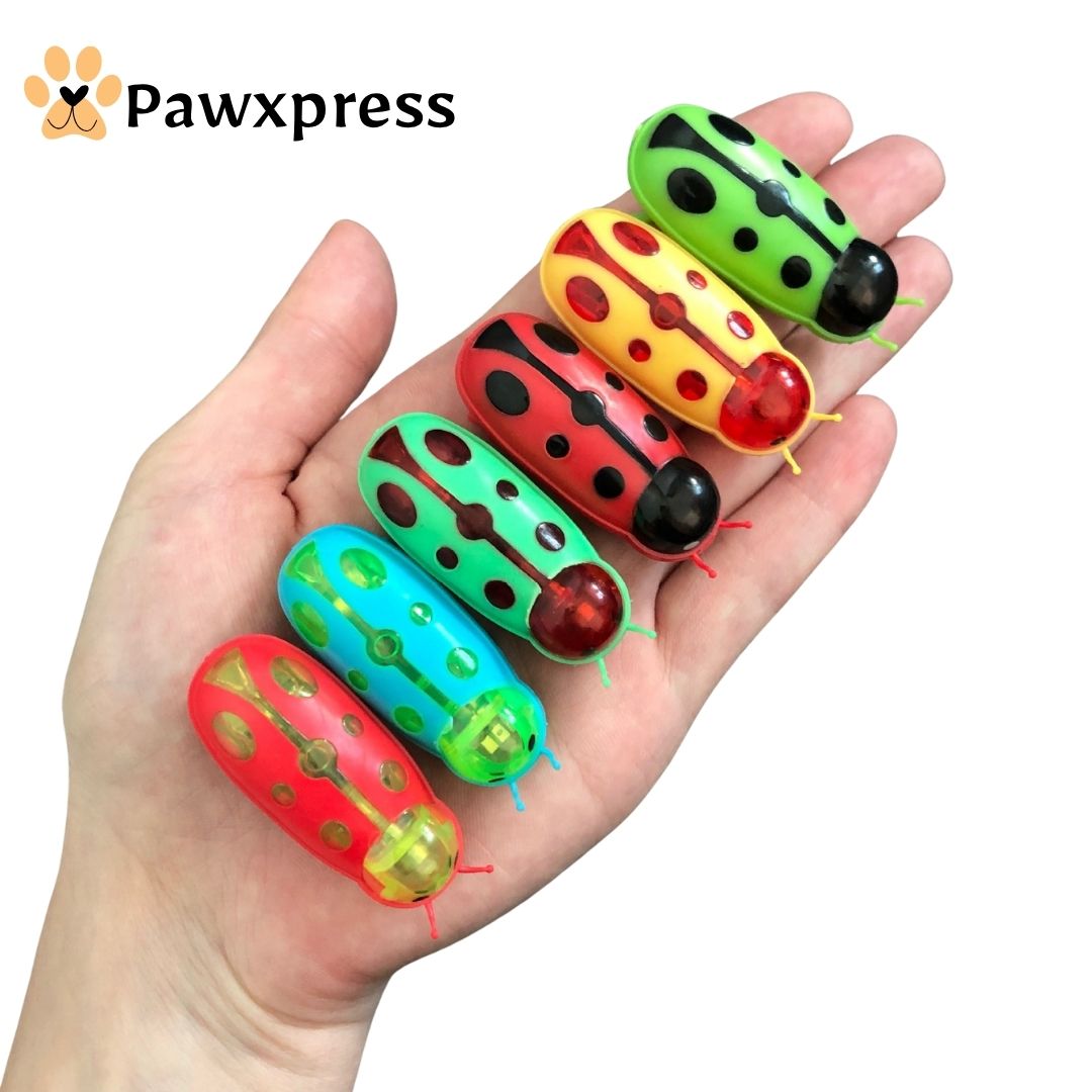 BUG BUDDY INTERACTIVE TOY FOR CATS