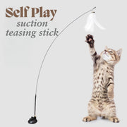 feather teaser for cats