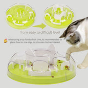 A-MAZE CAT PUZZLE