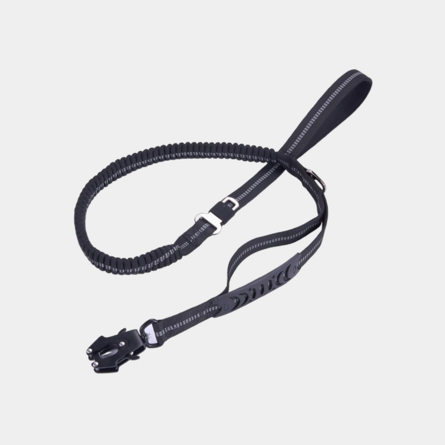BUNGEE LEASH FOR DOGS