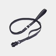 Buy dog leash online India