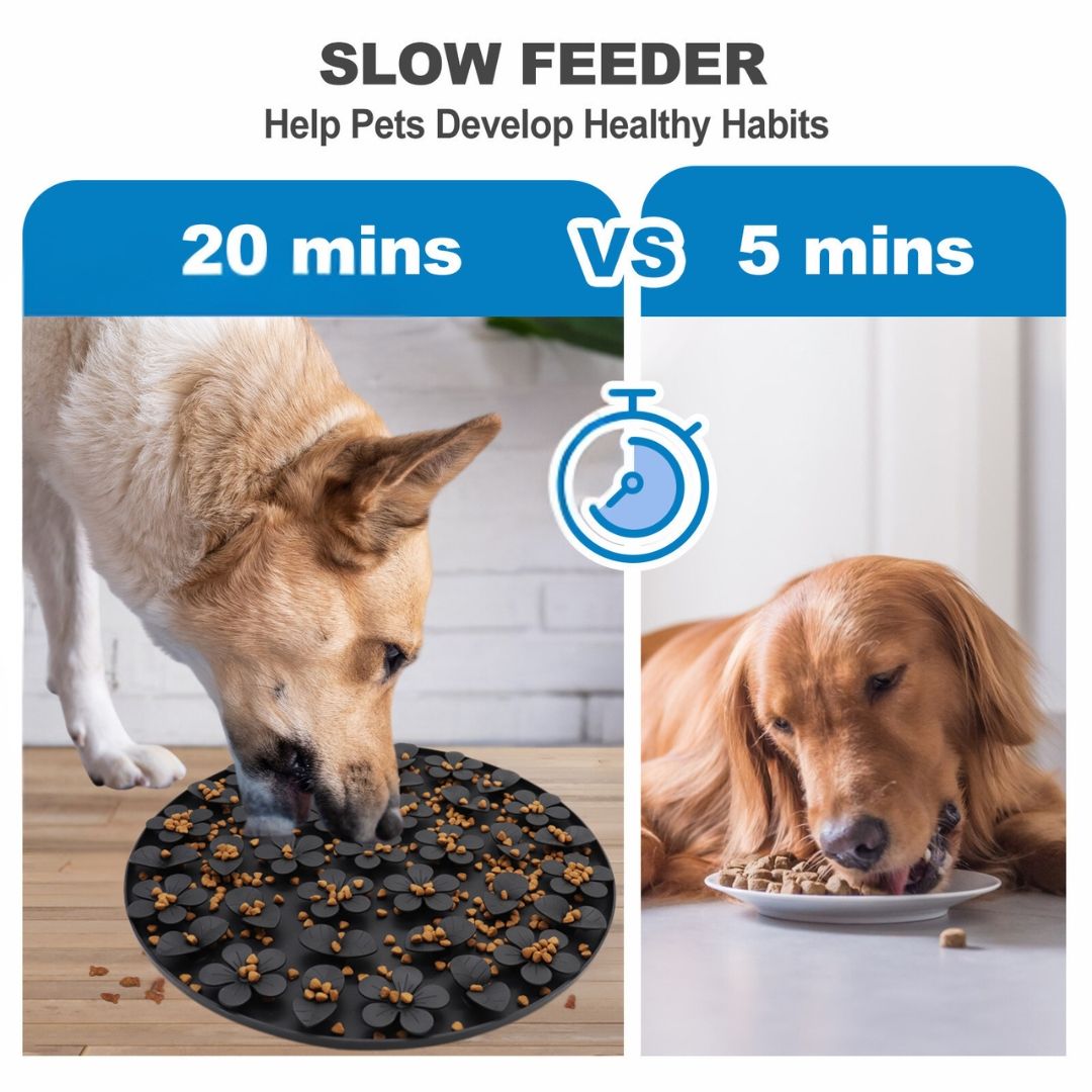 Sensory Mat for Dogs