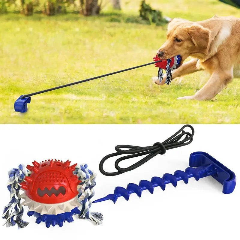 Tug Toy for Dogs