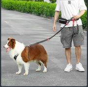 Comfortable Dog Leash