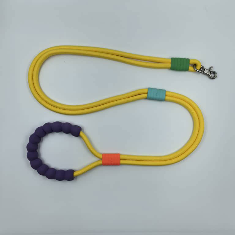 Dog Leash 