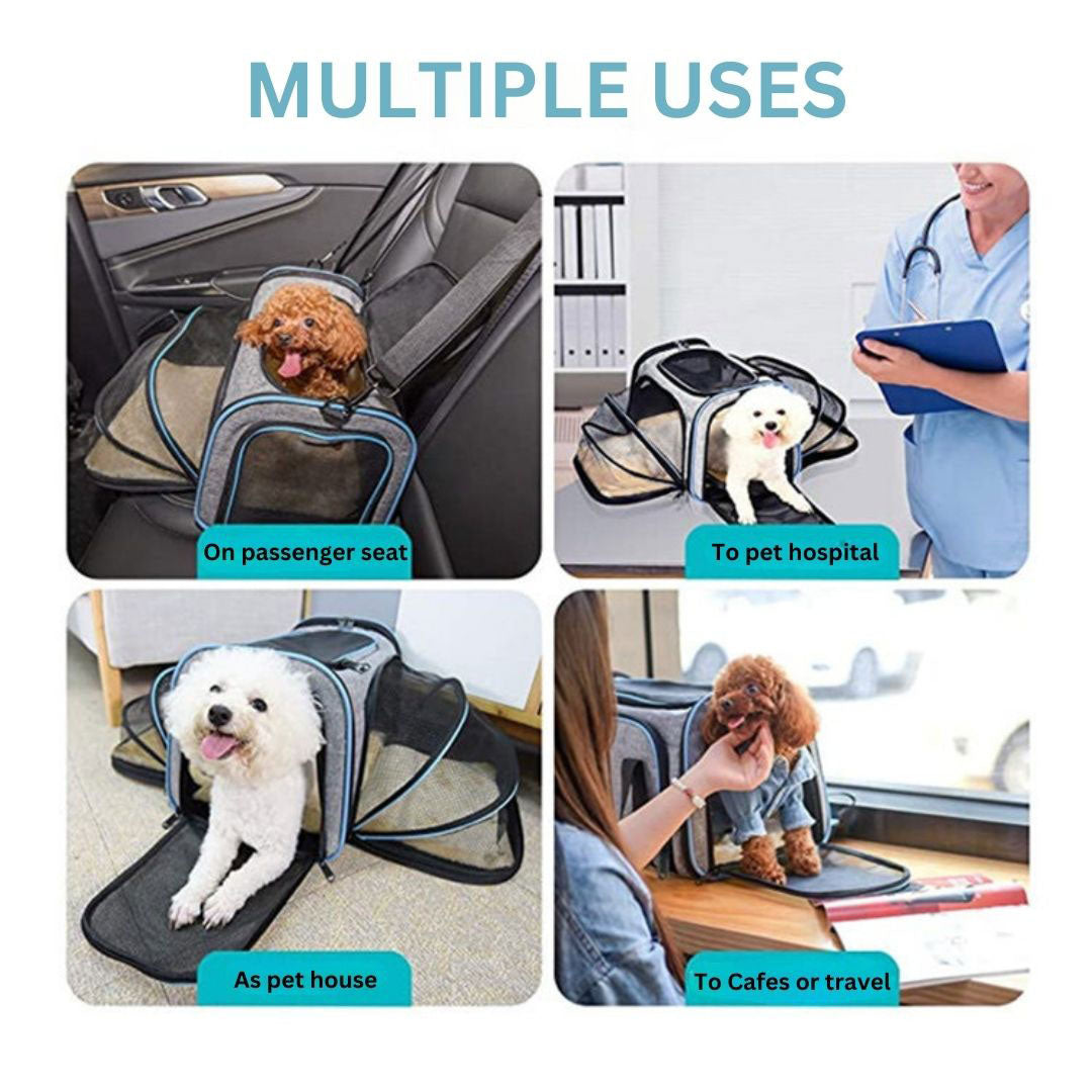 EXTEND IT PET CARRIER