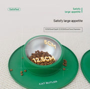 Cat feeding bowl online India