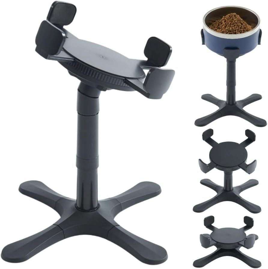 buy elevated dog bowl India