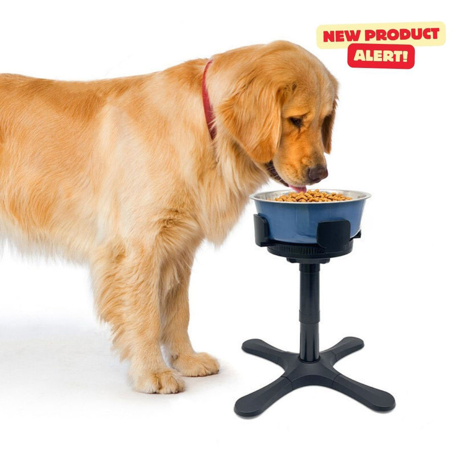 Tilt Bowl – Elevated Dog Bowl