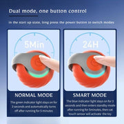 AUTO ROLLING BALL FOR CATS