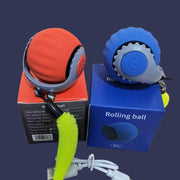 AUTO ROLLING BALL FOR CATS