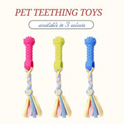 Rattle TPR Dog Toy